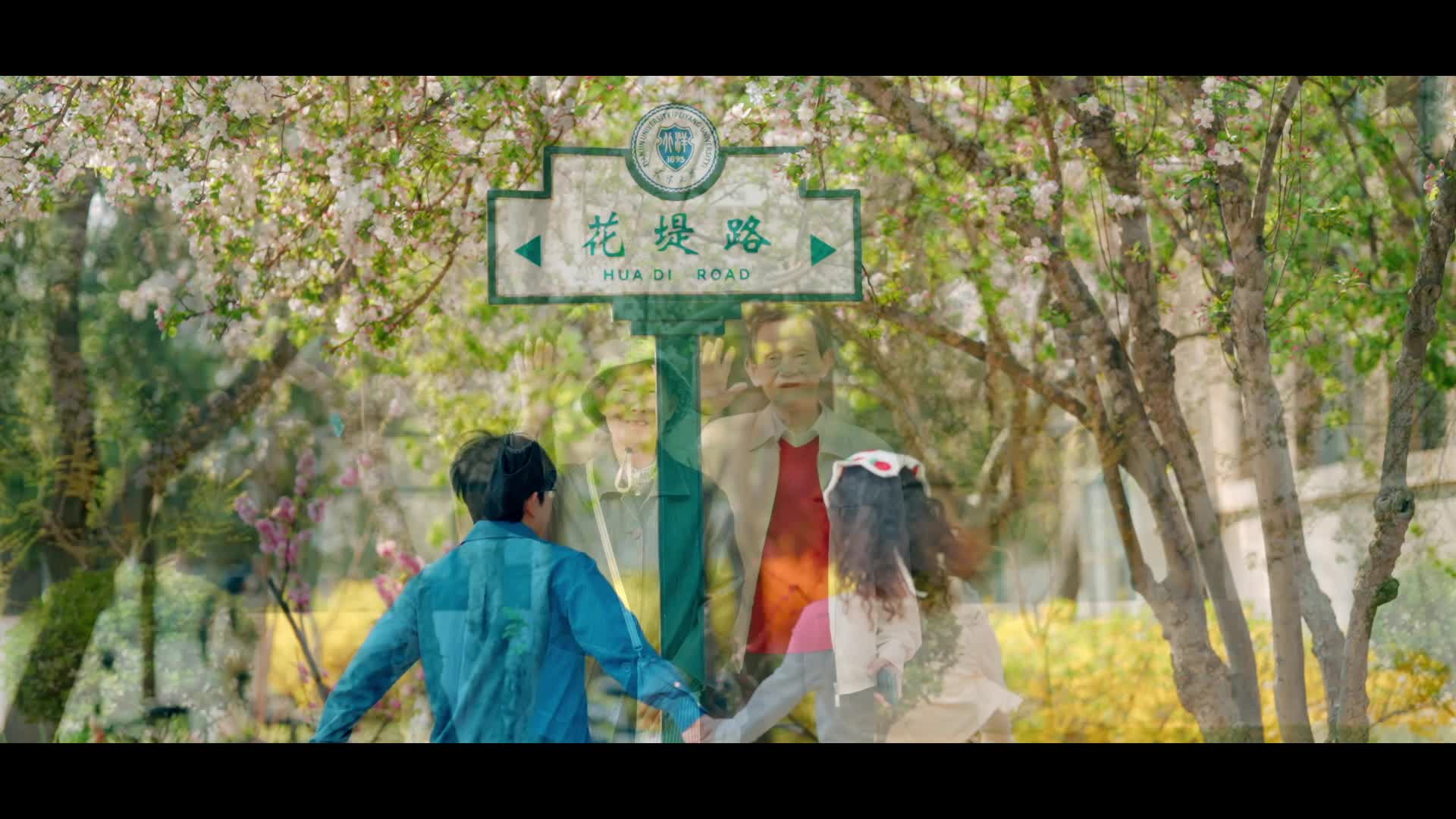 百卅荣光，海棠映天大