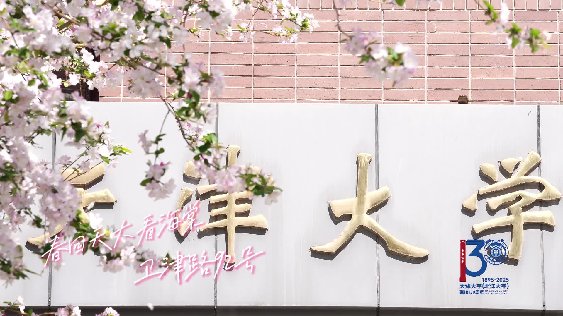 春回天大看海棠